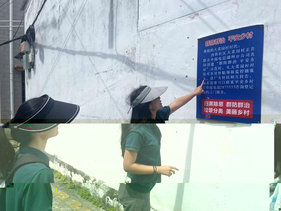圖片 19