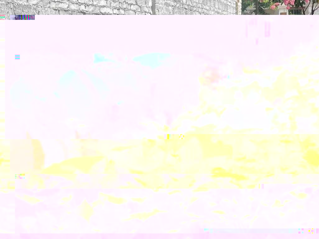 圖片 15