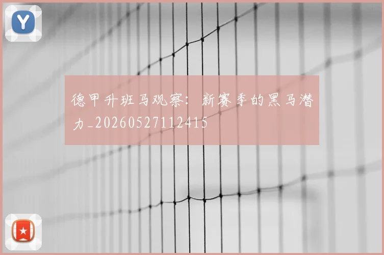 德甲升班马观察:新赛季的黑马潜力_20260527112415