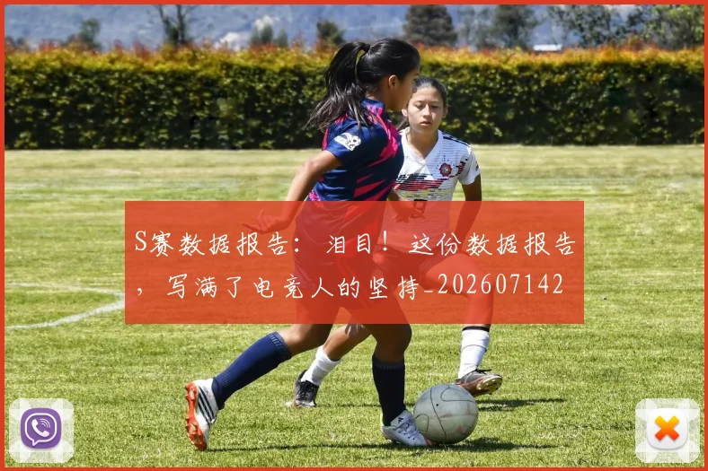 S赛数据报告:泪目!这份数据报告,写满了电竞人的坚持_20260714215148