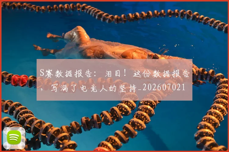 S赛数据报告:泪目!这份数据报告,写满了电竞人的坚持_20260702171925